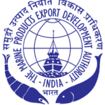 logo6